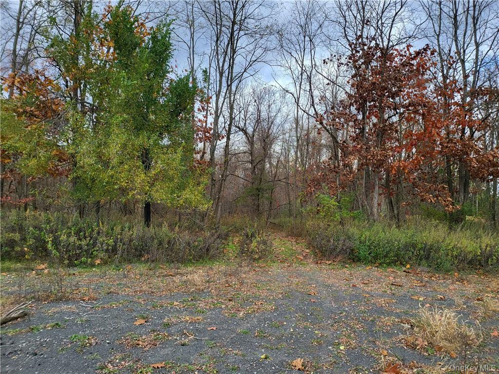 Ashley Drive - Lot 5 Property Photo 3