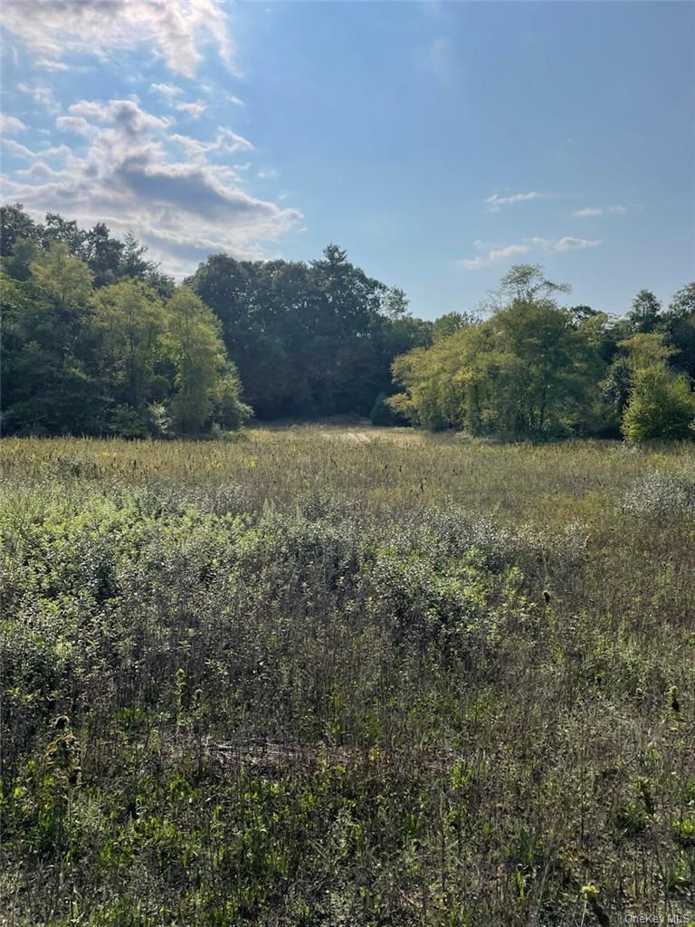 Ashley Drive - Lot 5 Property Photo 5