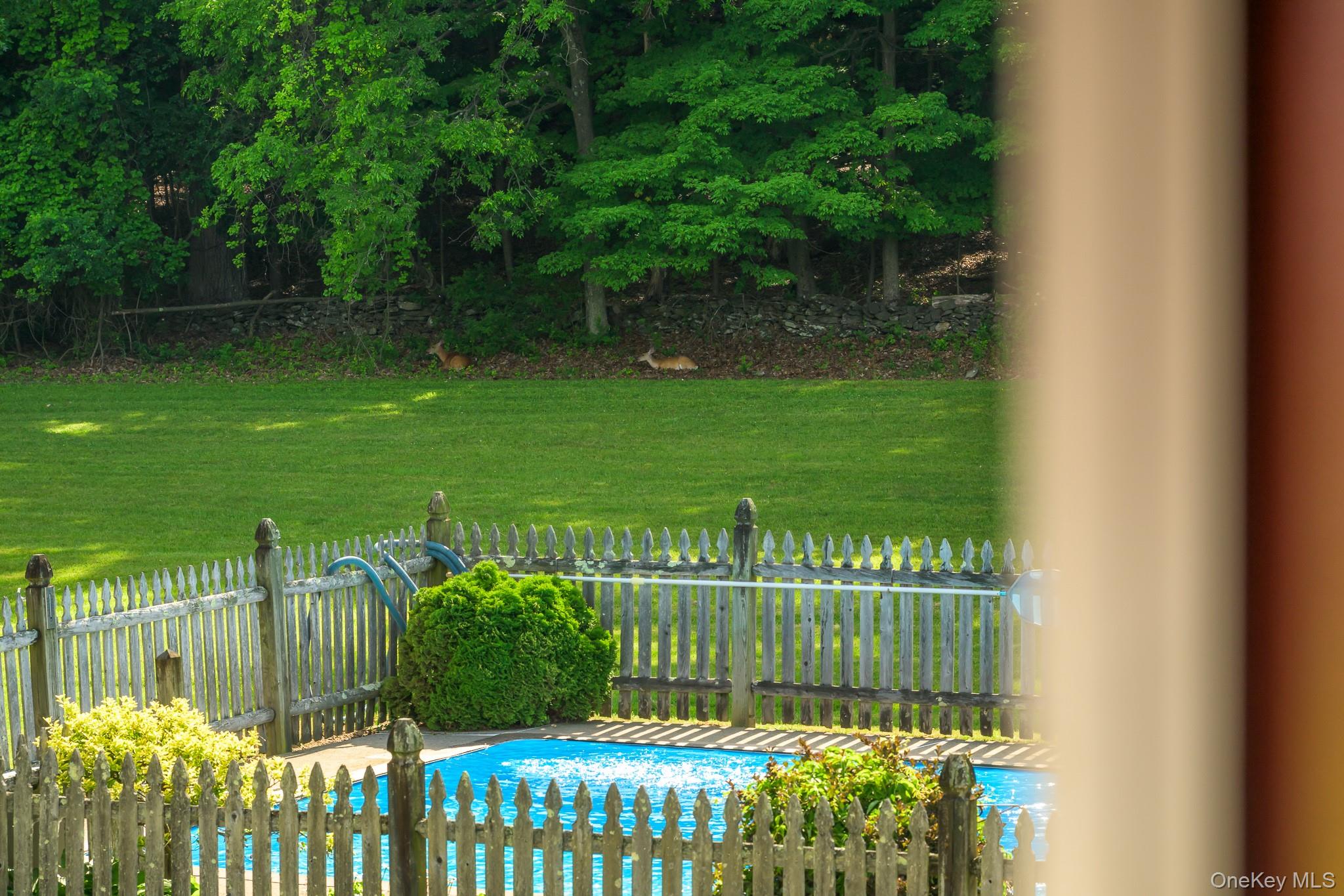 1530 River Road Property Photo 21
