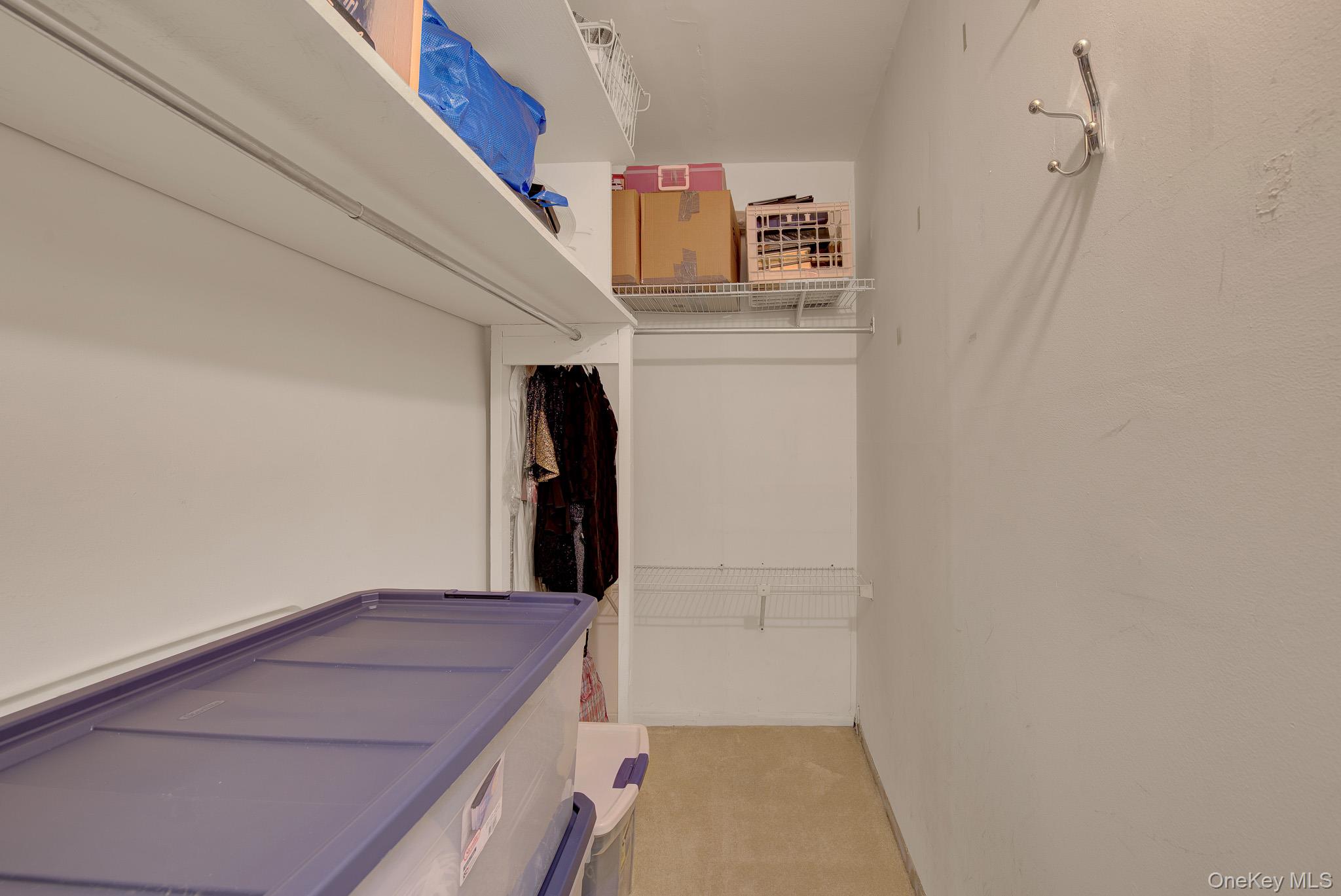 54-44 Little Neck Parkway 5u Property Photo 25