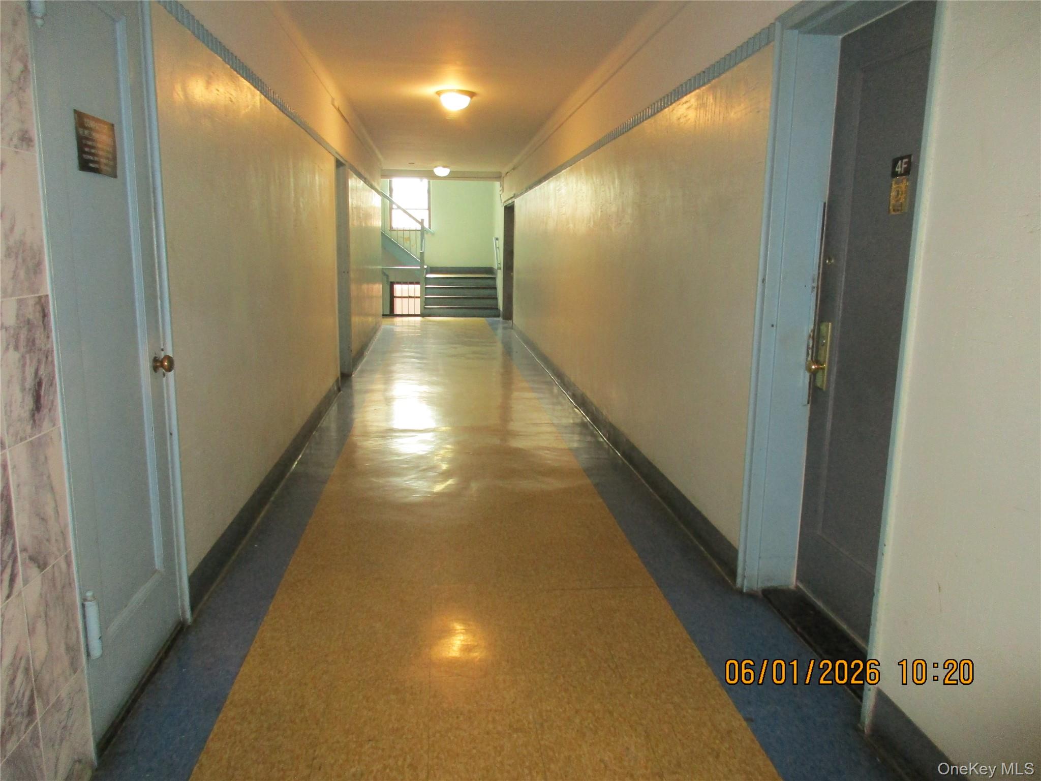 40-05 Ithaca Street 4m Property Photo 13