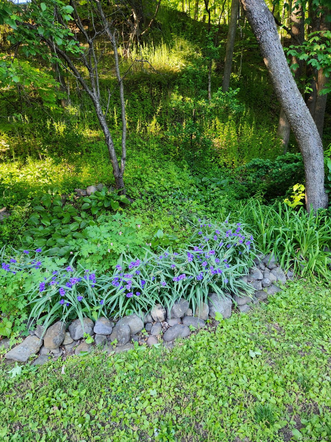 3318 State Route 94 Property Photo 28