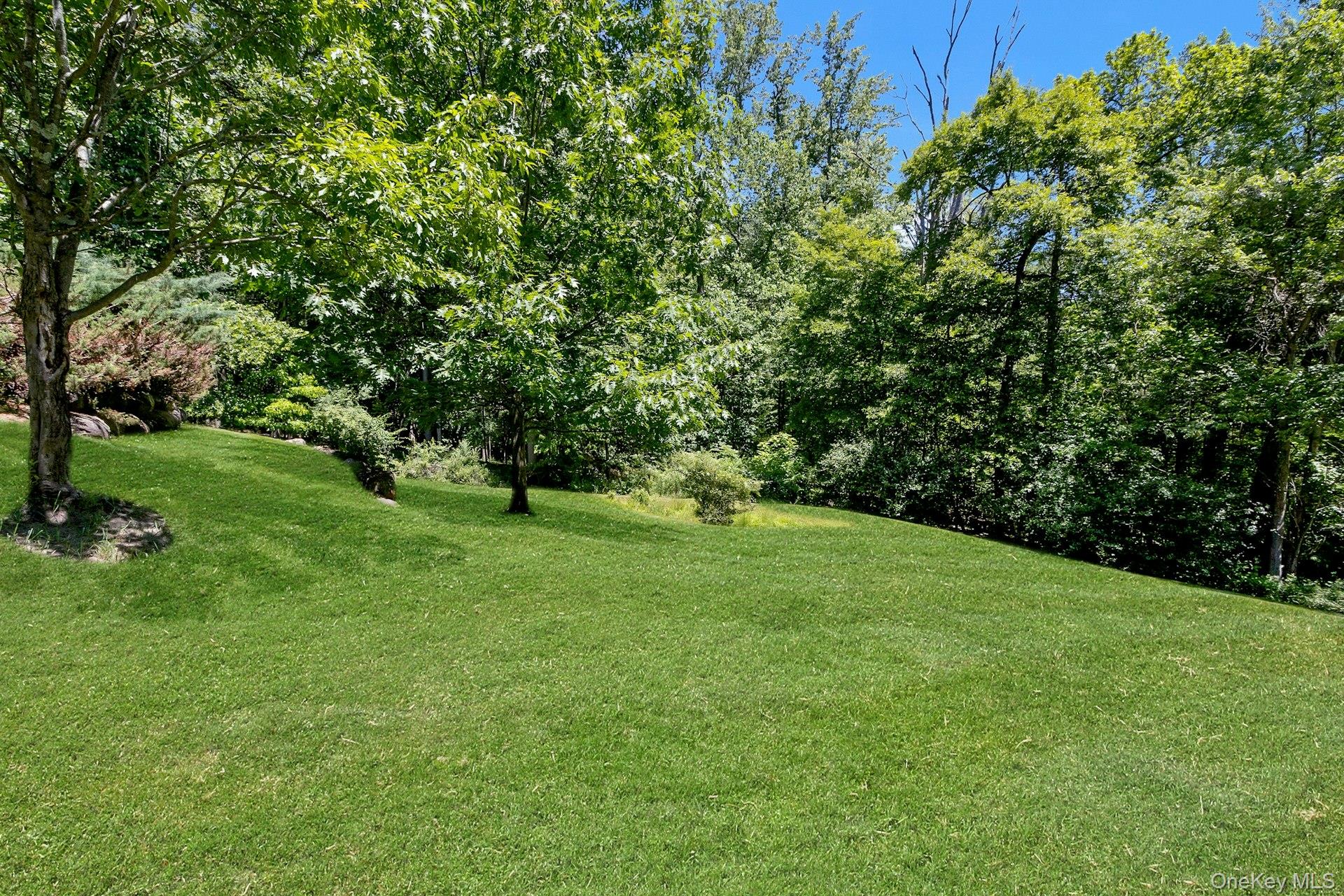 11 Badi Drive Property Photo 44