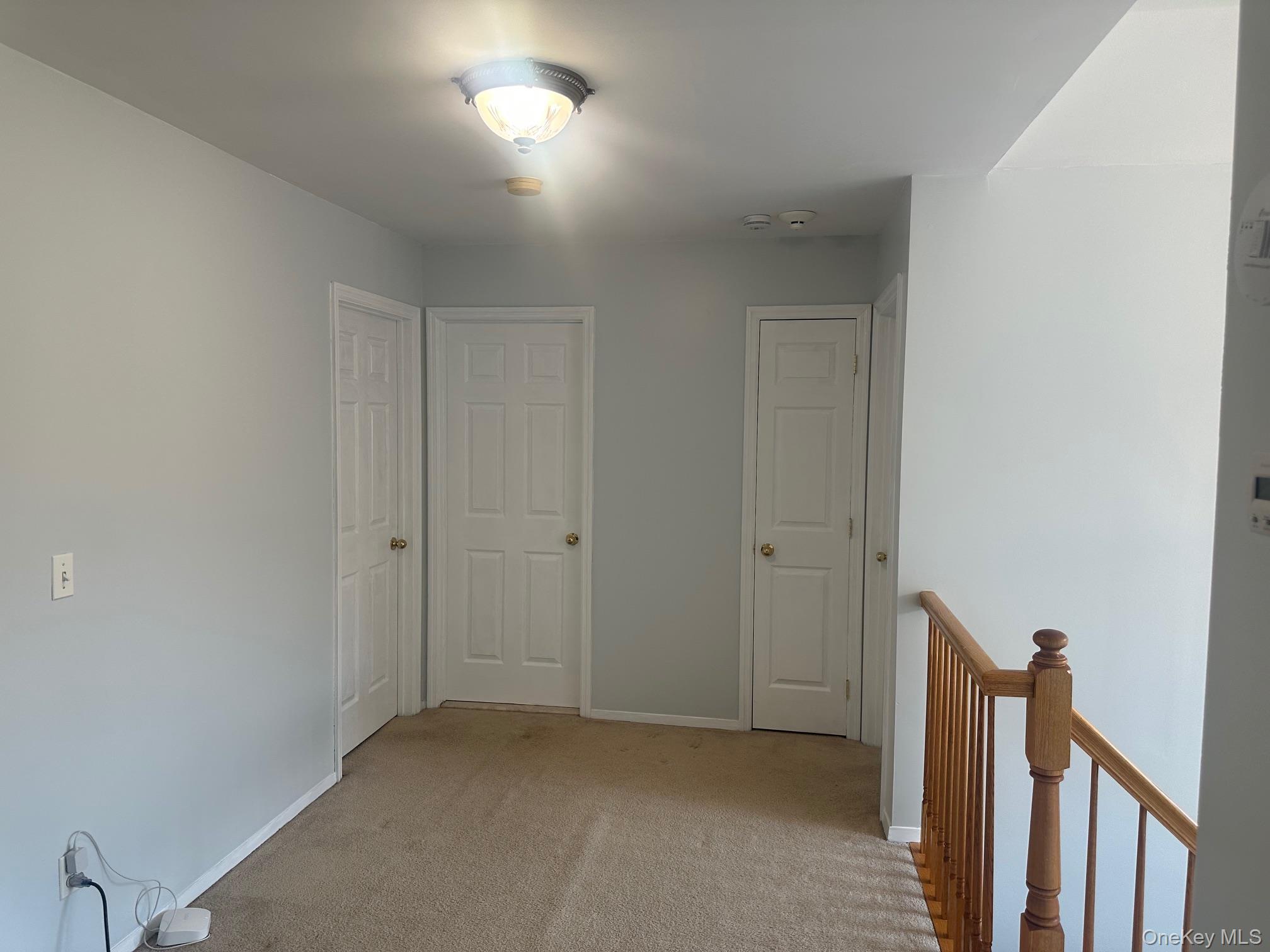 18 Mill Lane Property Photo 19