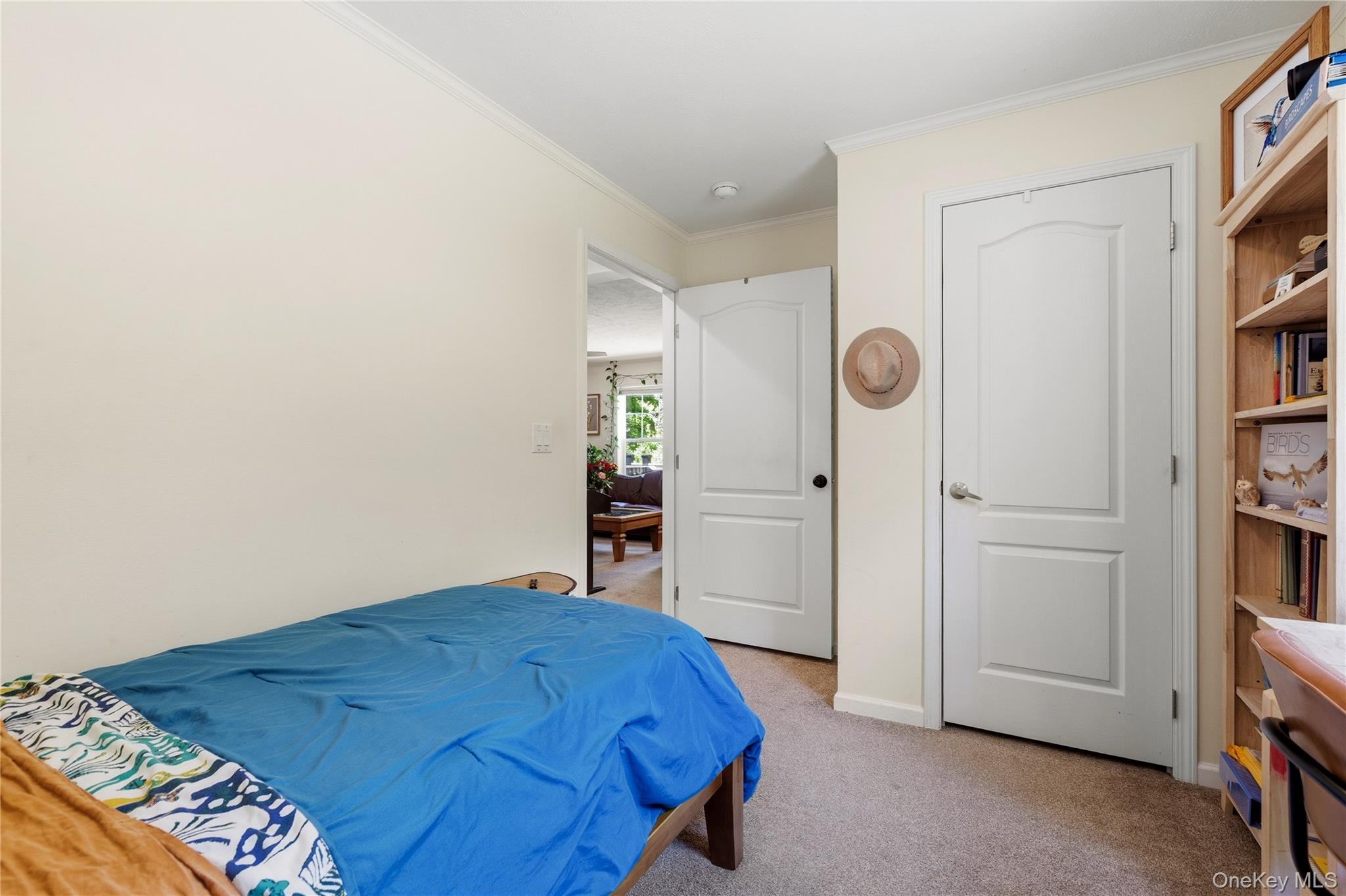 239-241 Fosler Road Property Photo 39