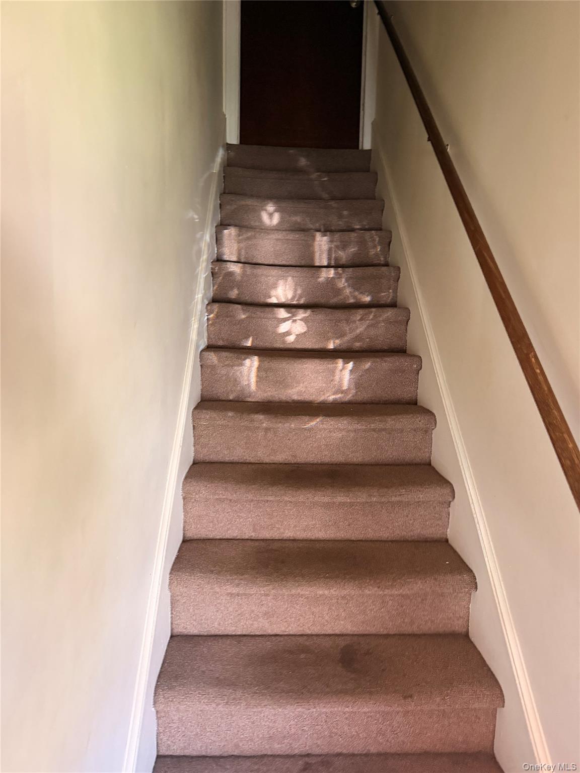 107 Sterling Avenue Property Photo 38