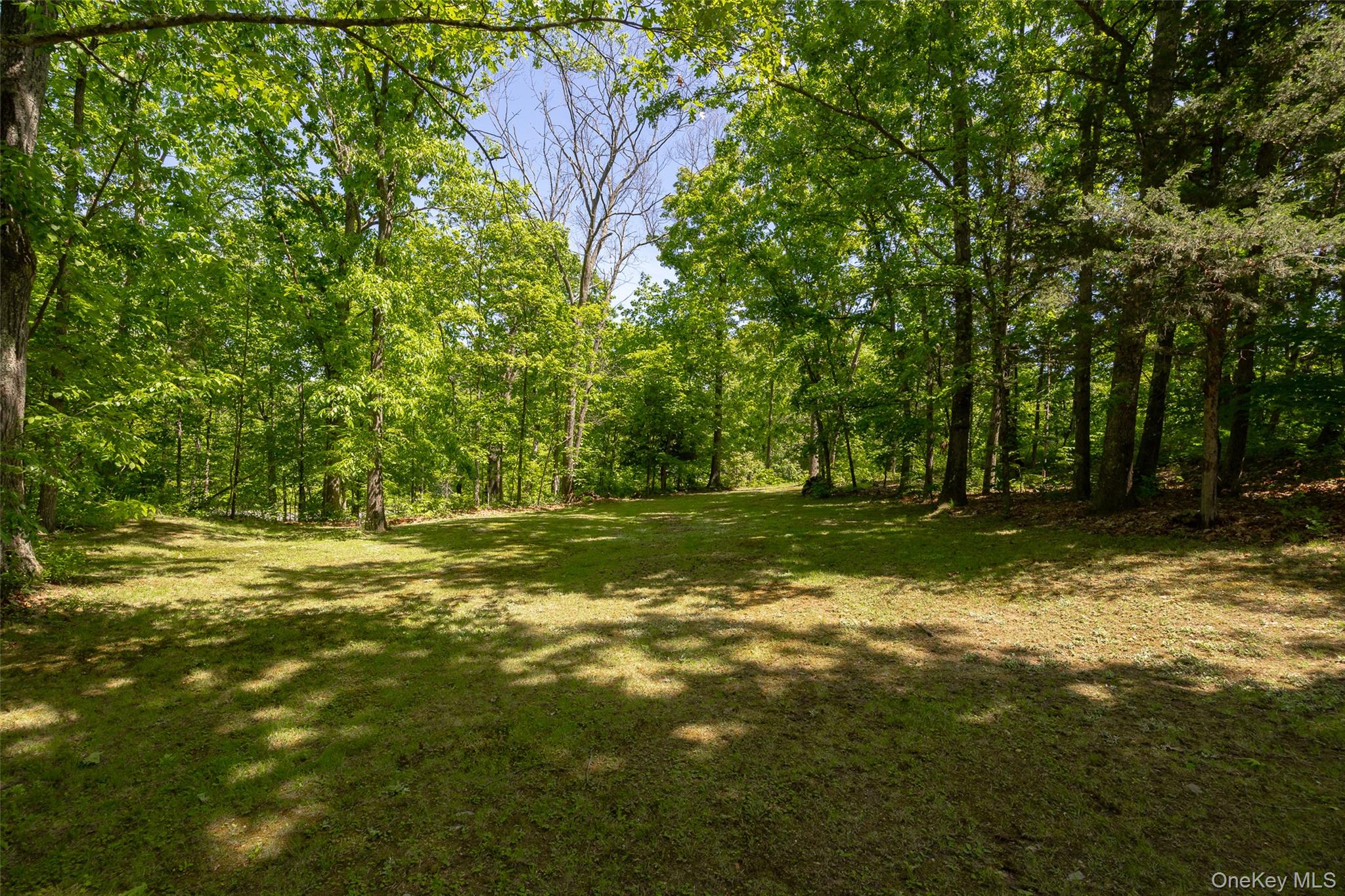 44 Eleanor Drive Property Photo 46