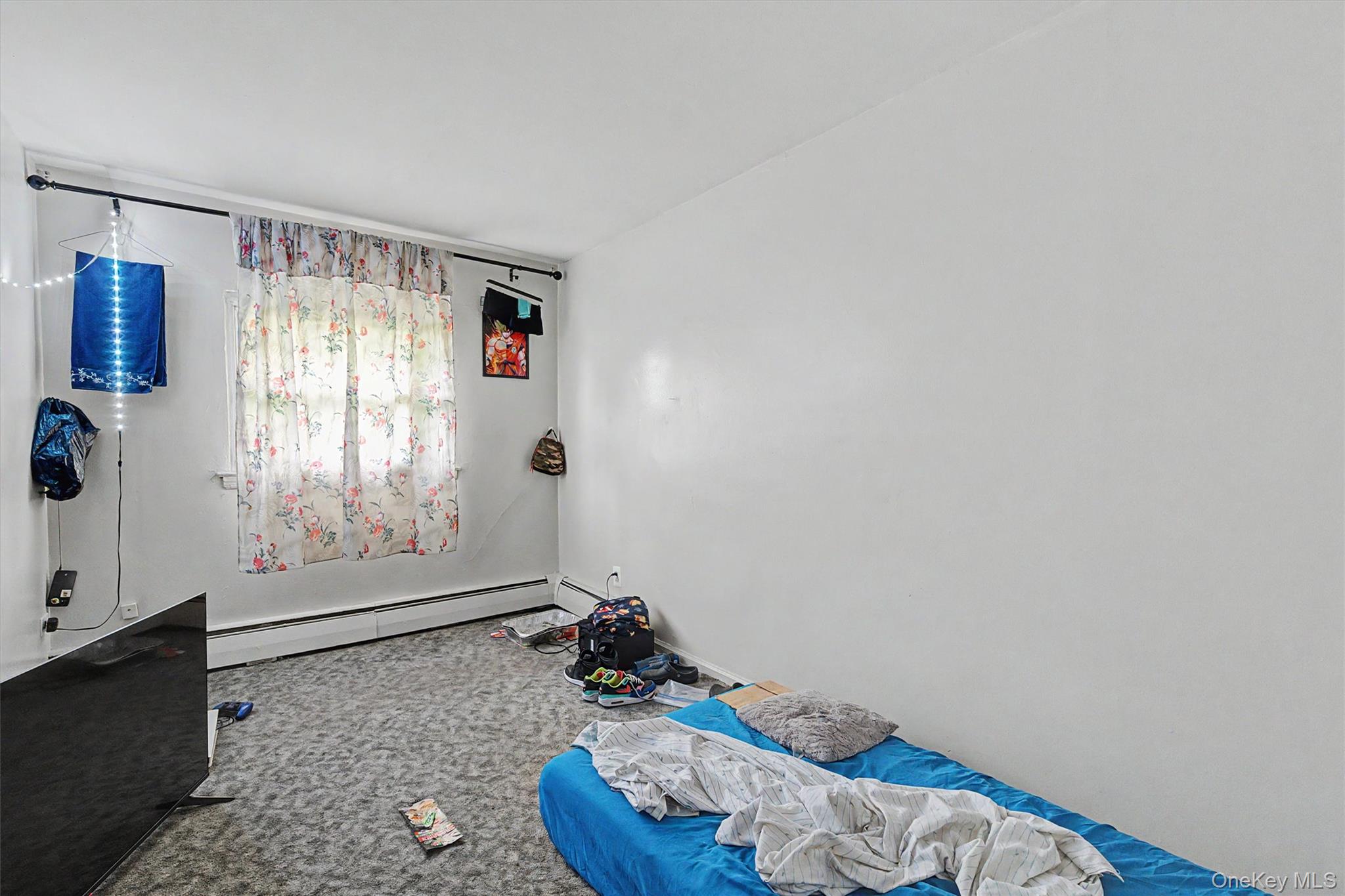 1010 E 233rd Street Property Photo 17