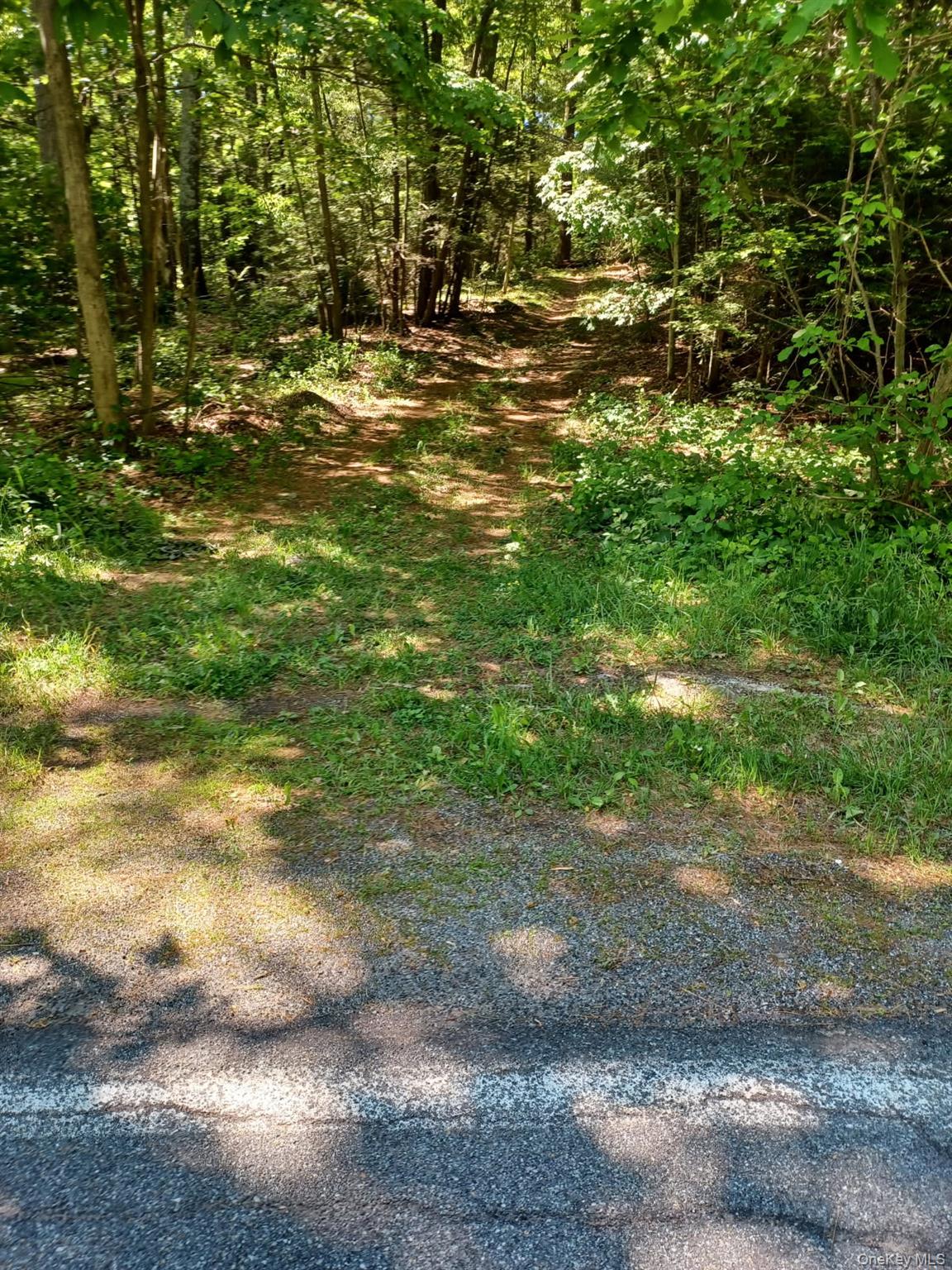 Bramertown Road Property Photo 4