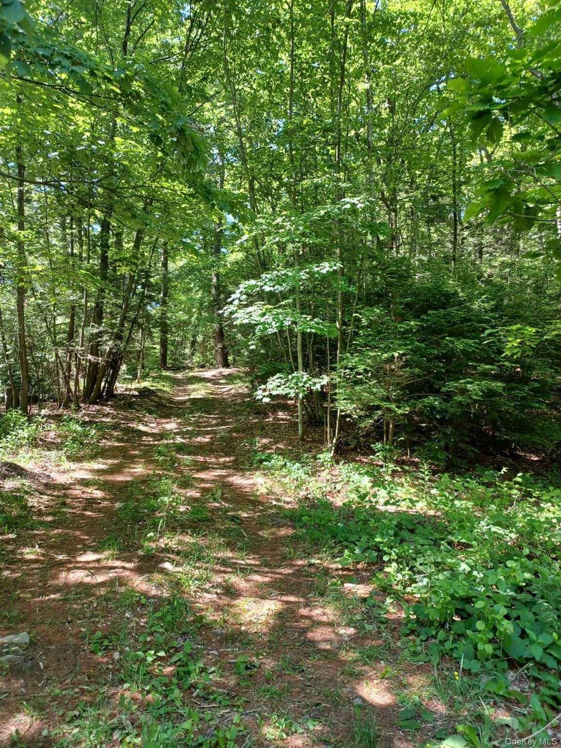 Bramertown Road Property Photo 7