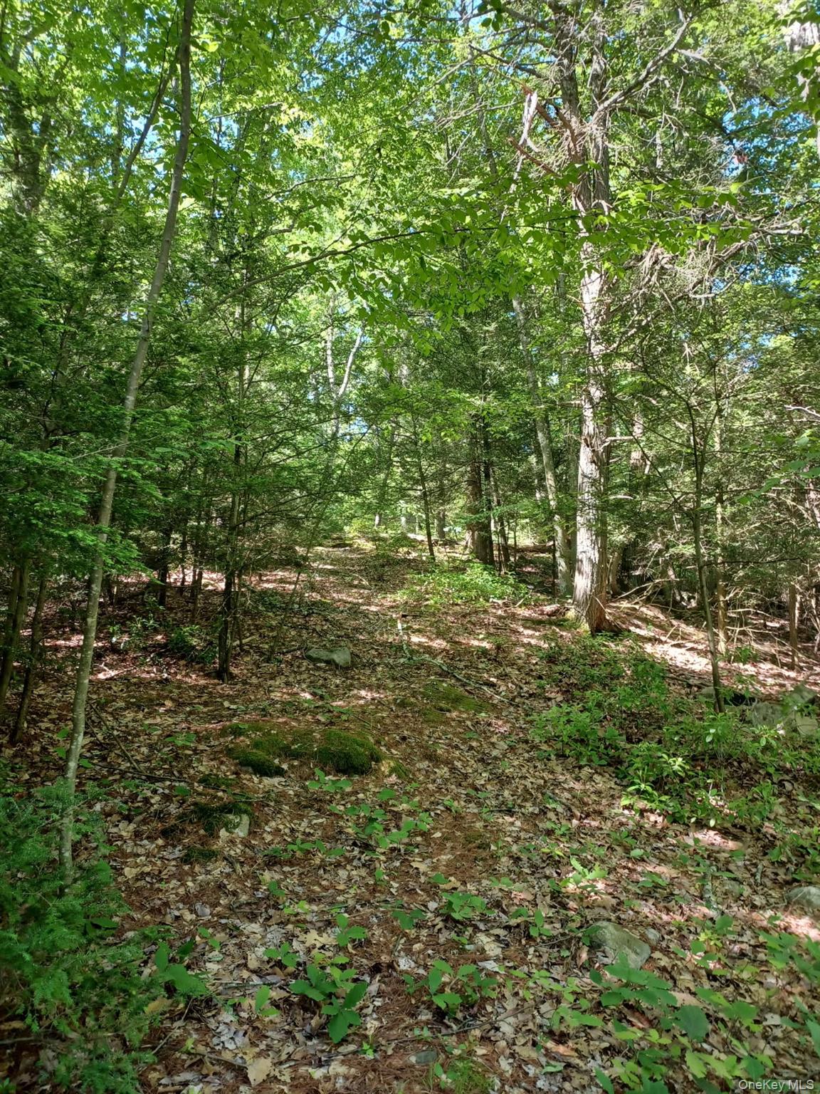 Bramertown Road Property Photo 8