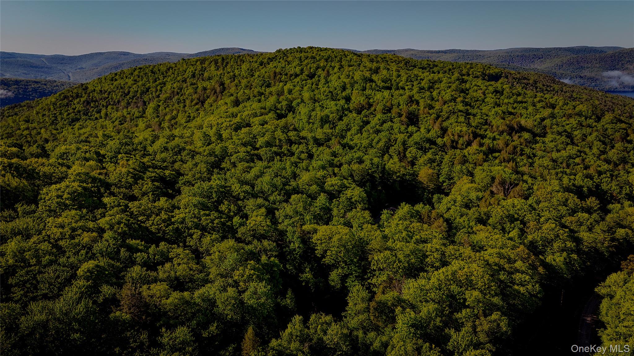 836 Emerald Lake Road Property Photo 2