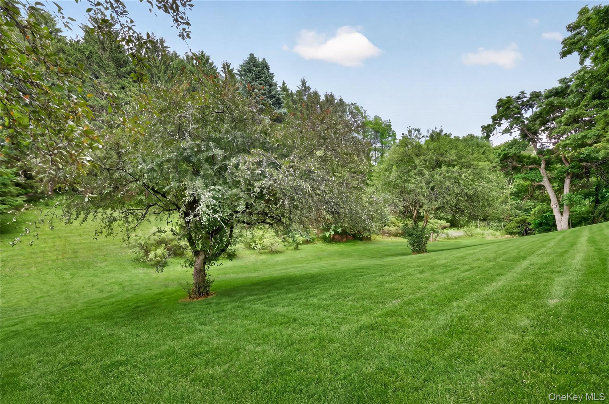 356 Smith Road Property Photo 43