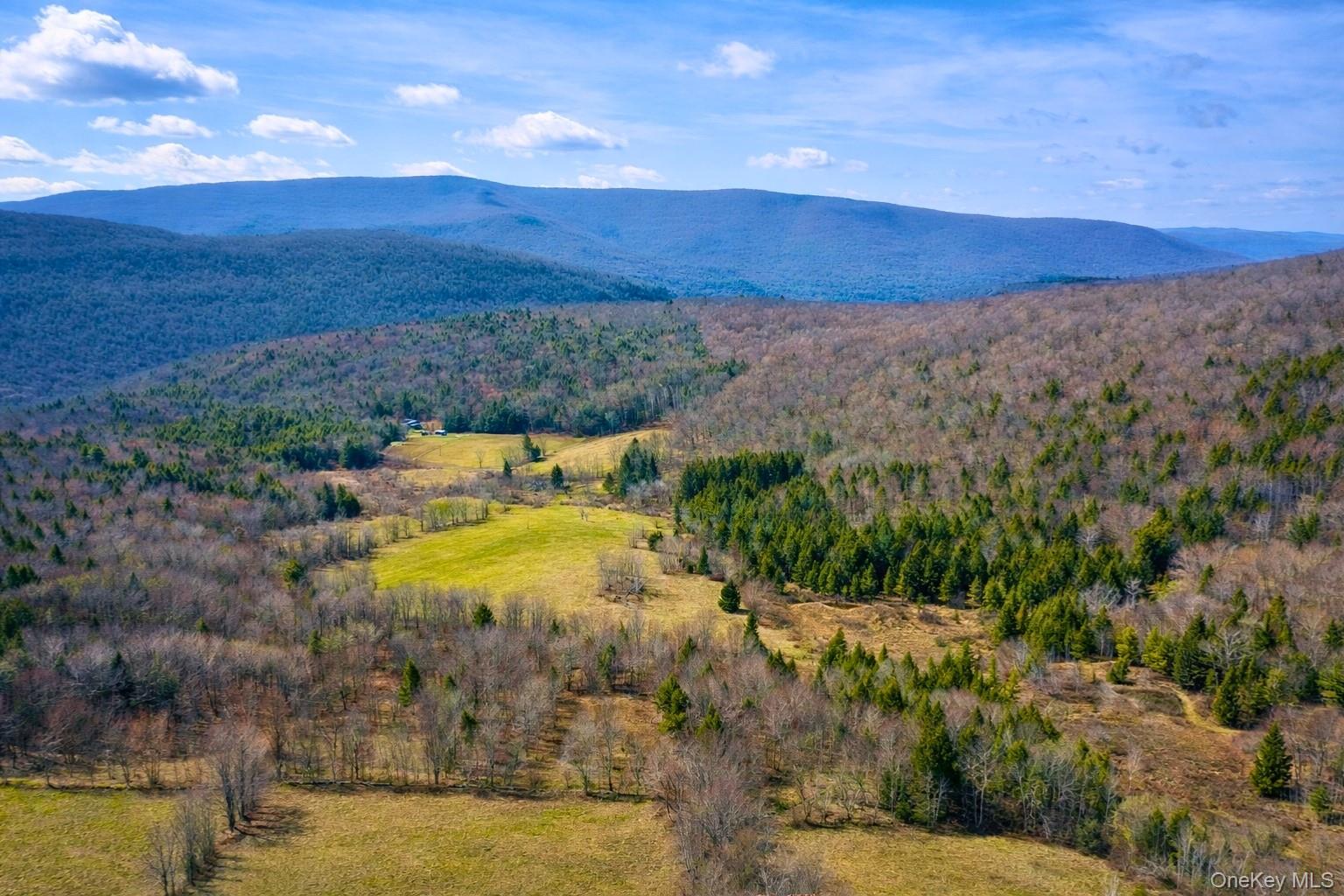 Hog Mountain Property Photo 1