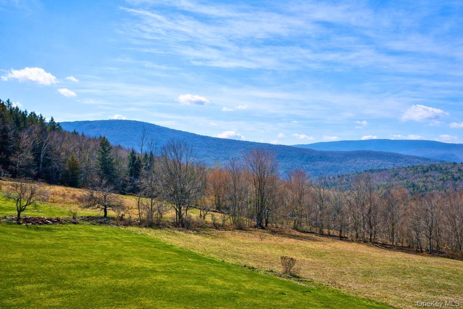 Hog Mountain Property Photo 2