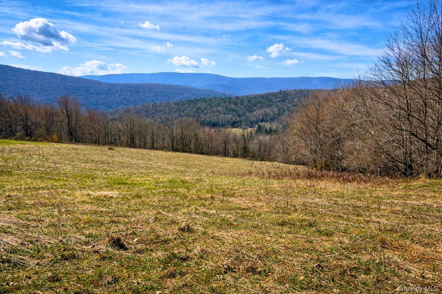 Hog Mountain Property Photo 3