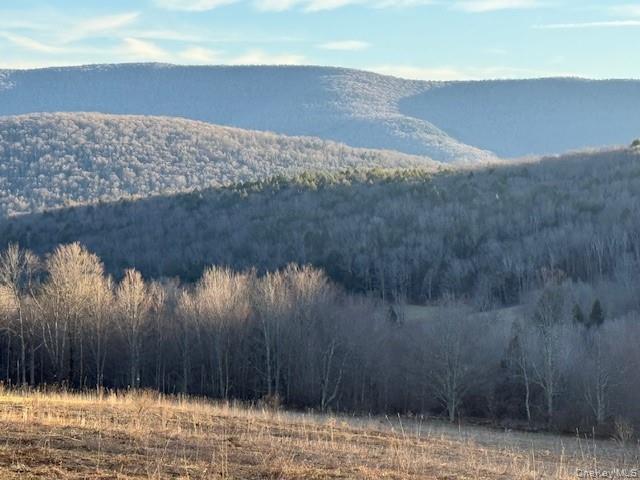 Hog Mountain Property Photo 4