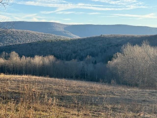 Hog Mountain Property Photo 5