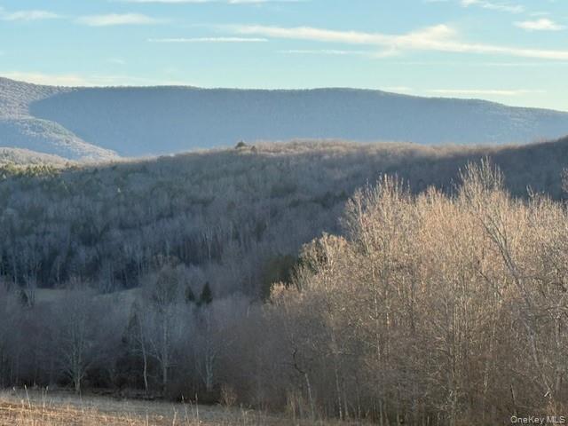 Hog Mountain Property Photo 6