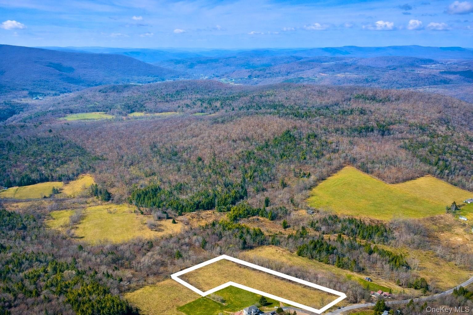 Hog Mountain Property Photo 7
