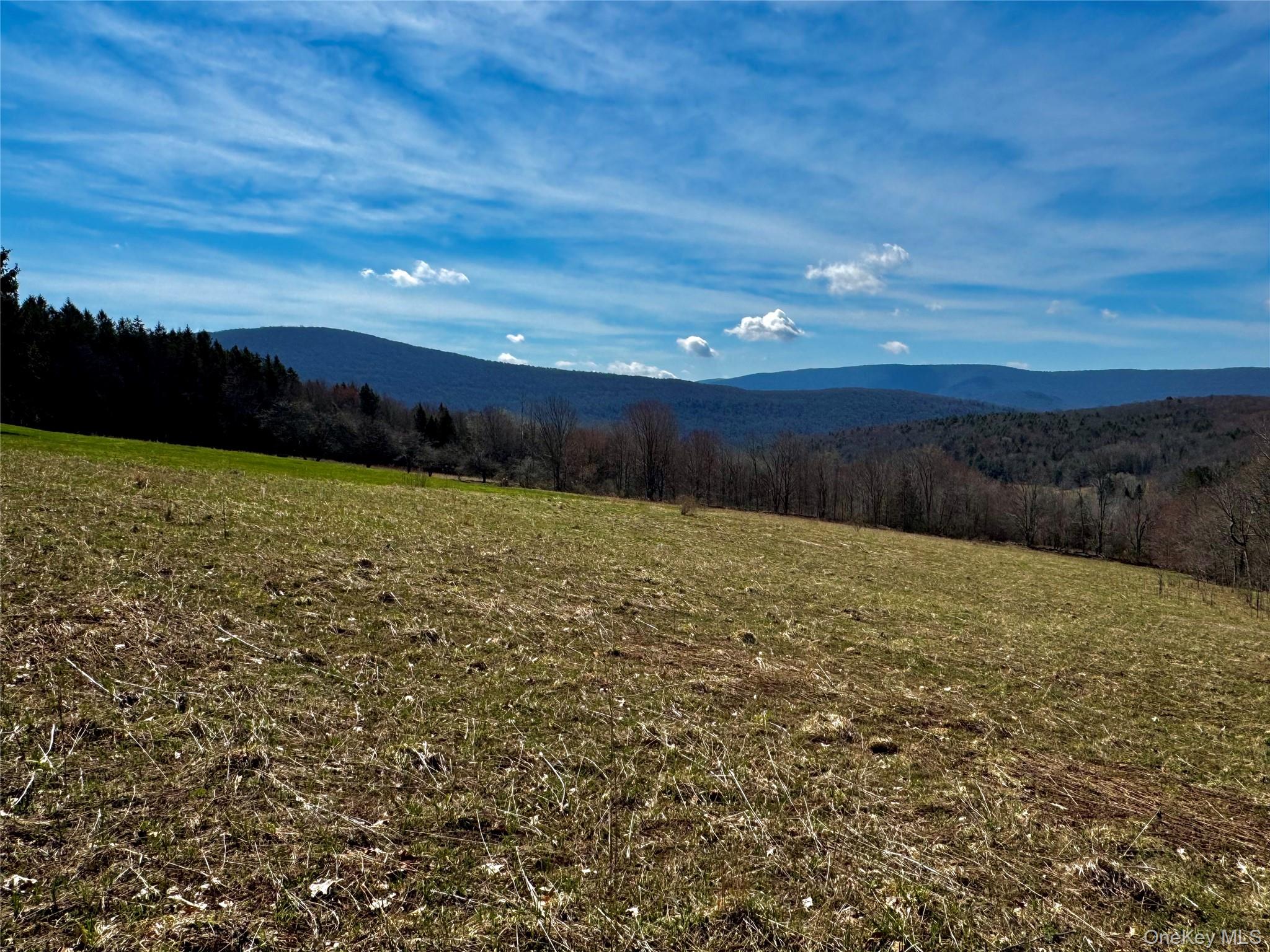 Hog Mountain Property Photo 13