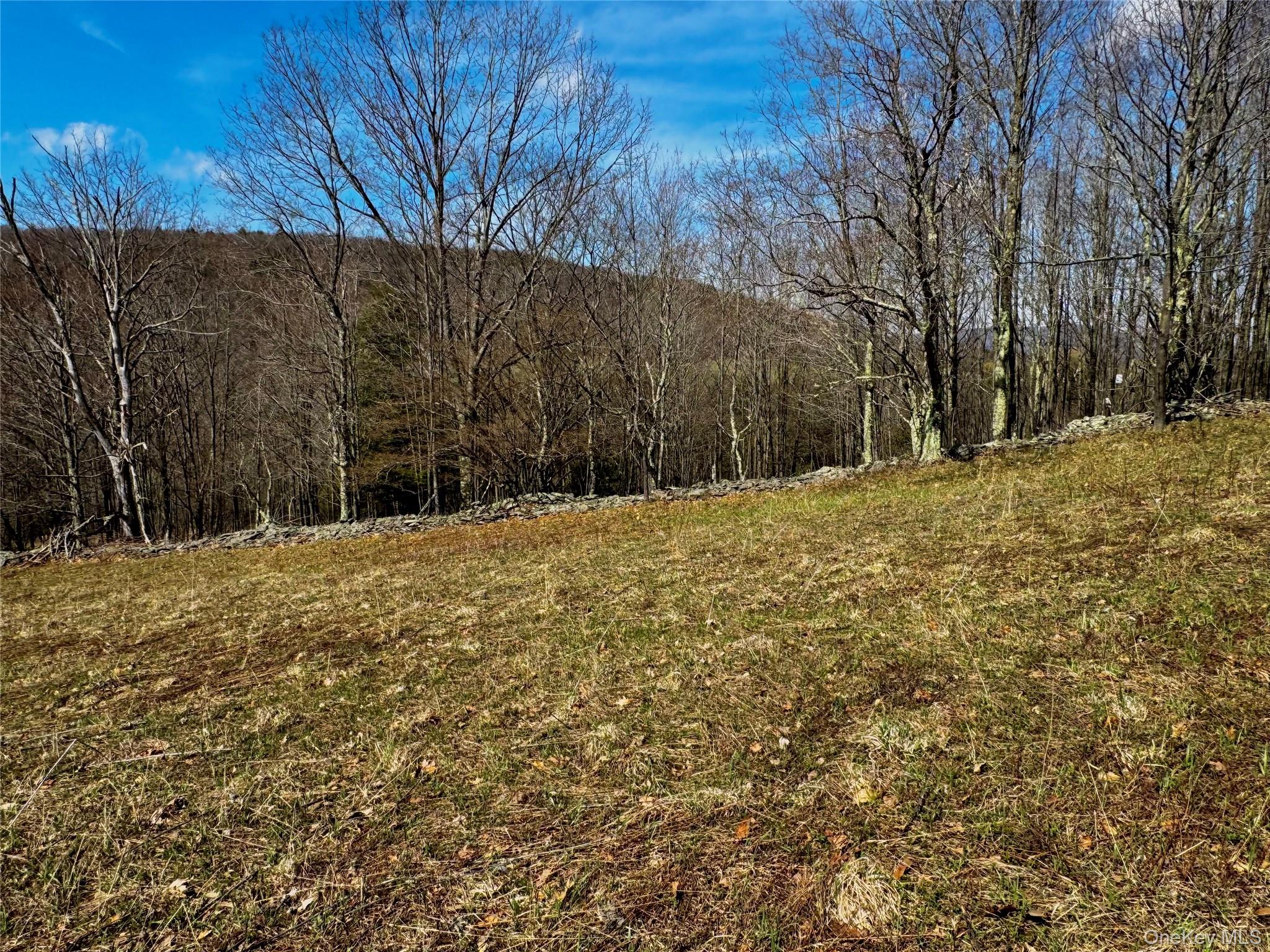 Hog Mountain Property Photo 14