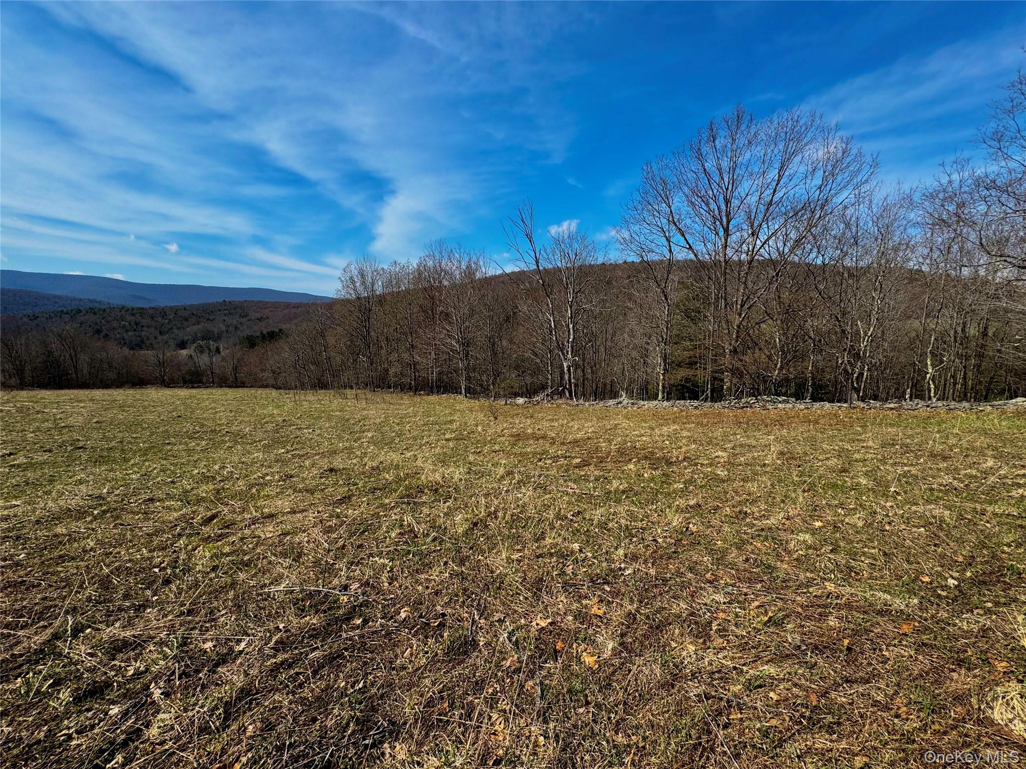 Hog Mountain Property Photo 15