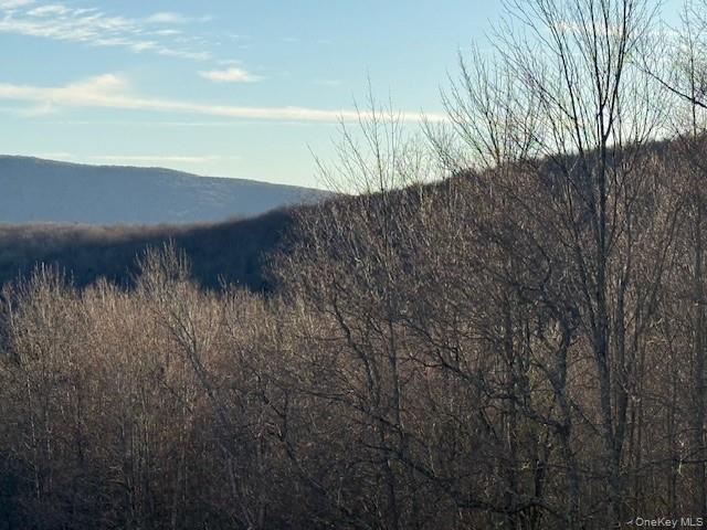 Hog Mountain Property Photo 16