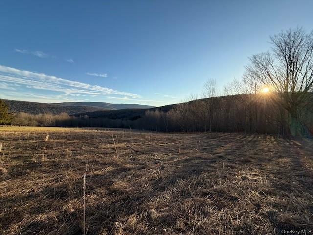 Hog Mountain Property Photo 17