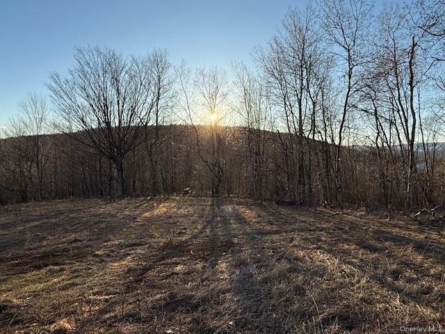 Hog Mountain Property Photo 18