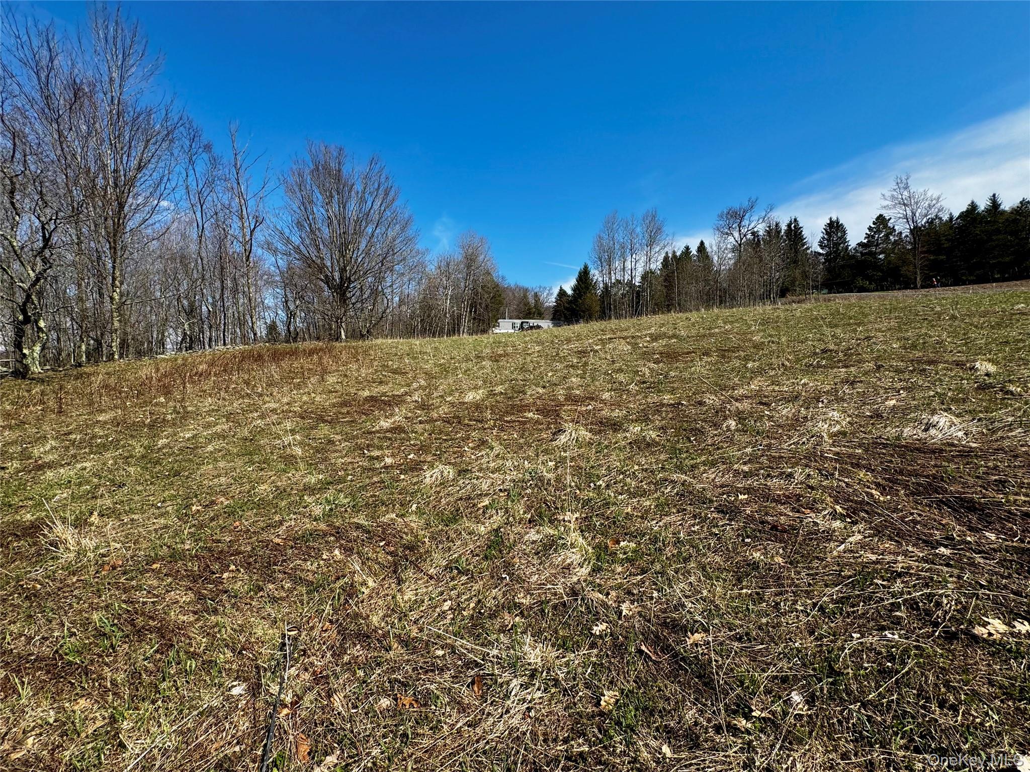 Hog Mountain Property Photo 19
