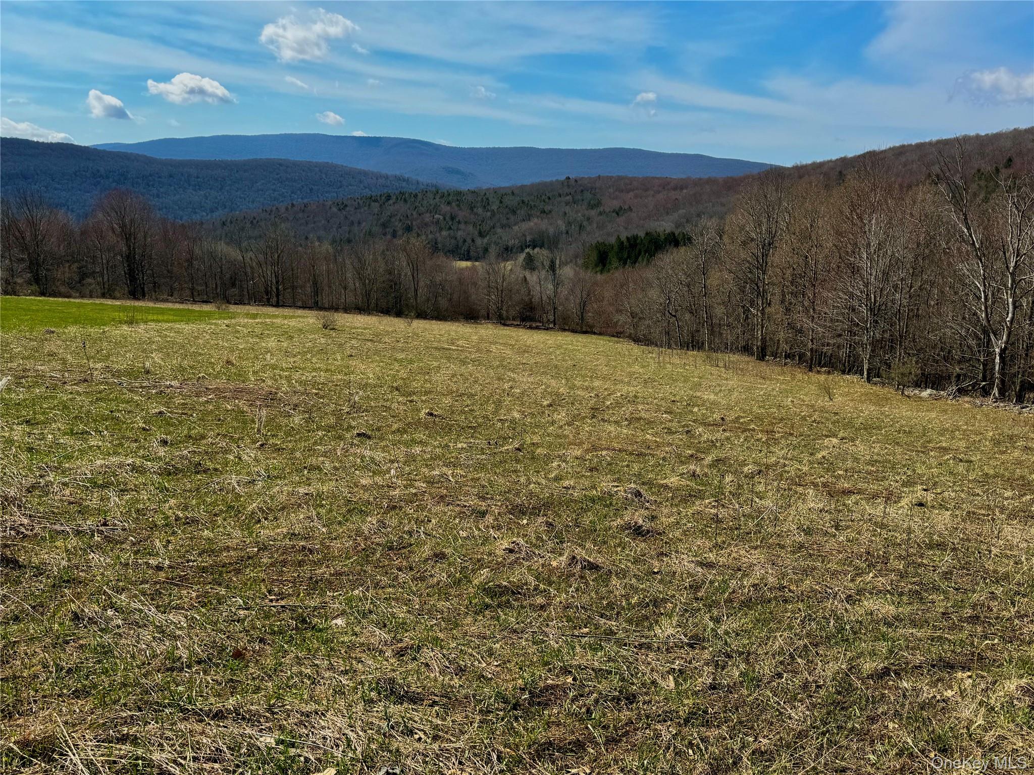 Hog Mountain Property Photo 20