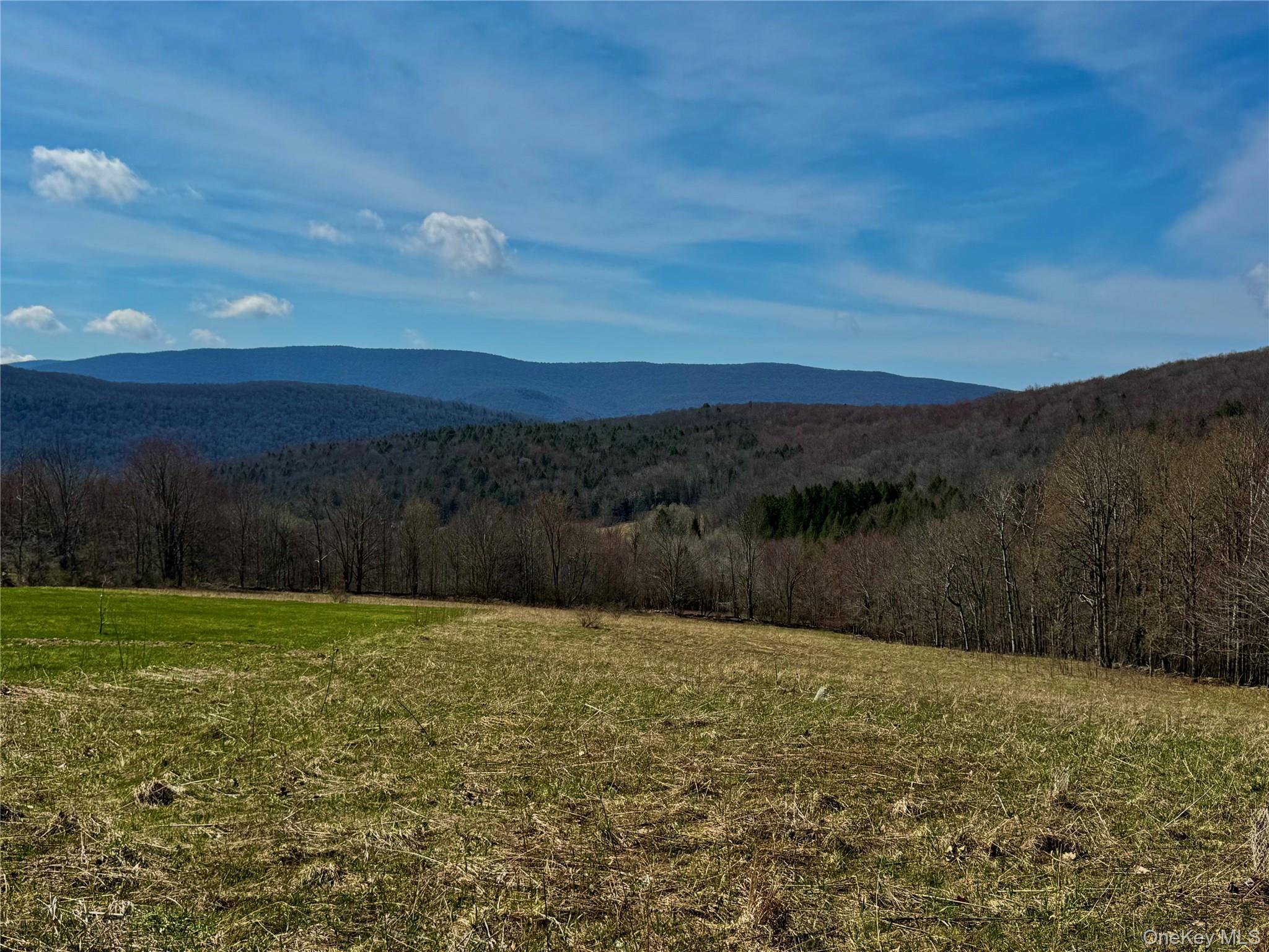 Hog Mountain Property Photo 21