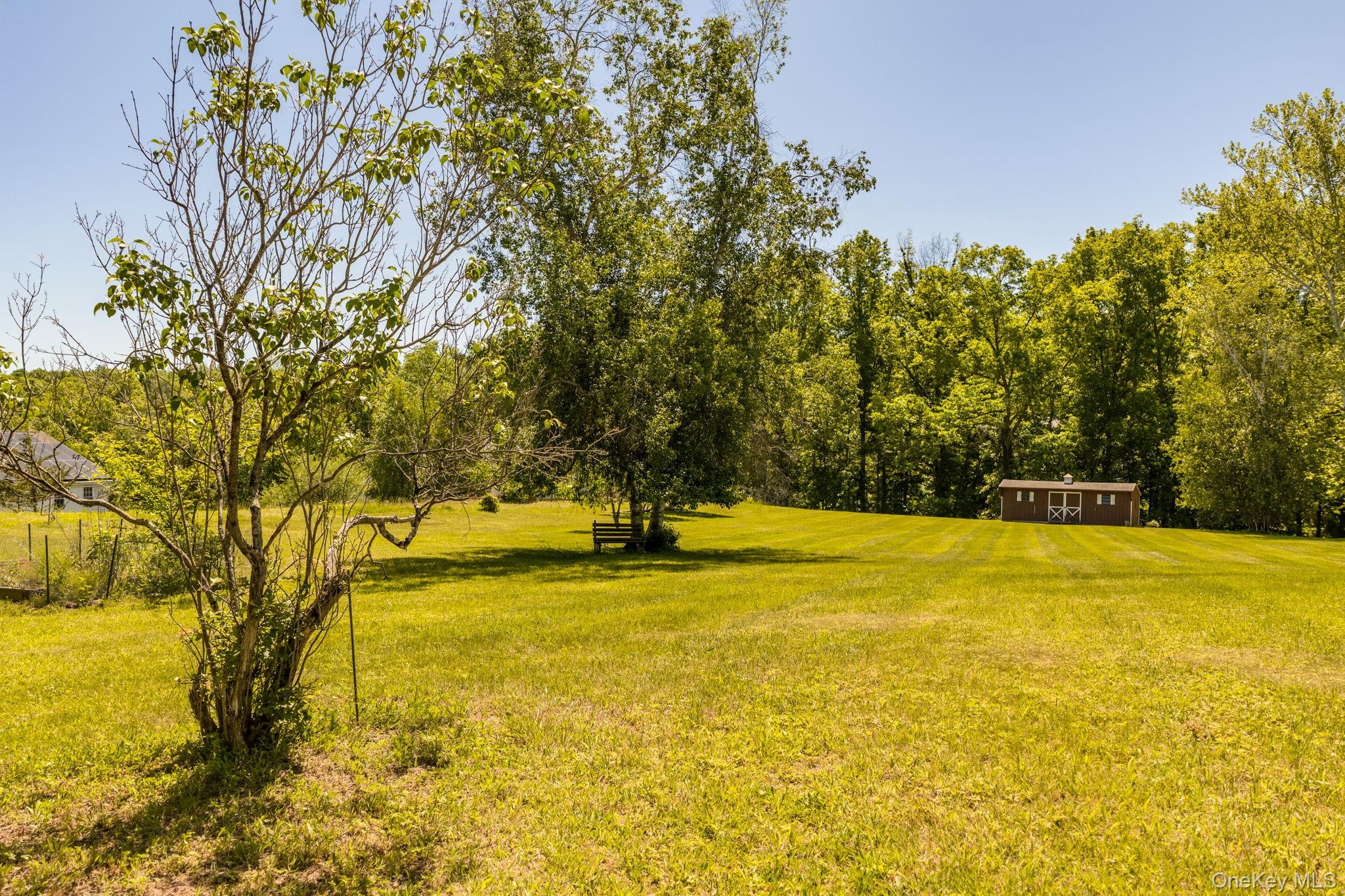 185 Crawford Street Property Photo 31