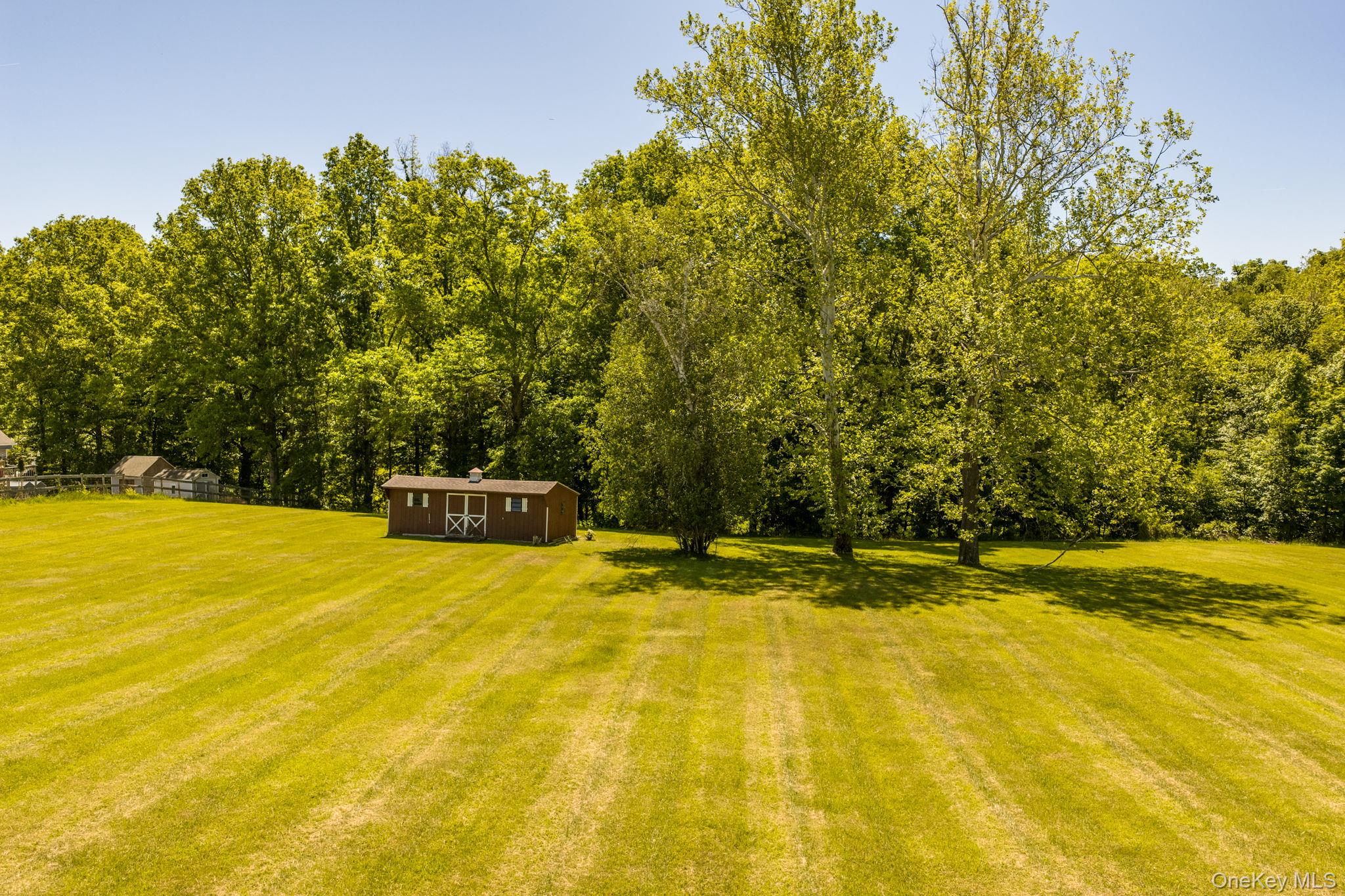 185 Crawford Street Property Photo 34