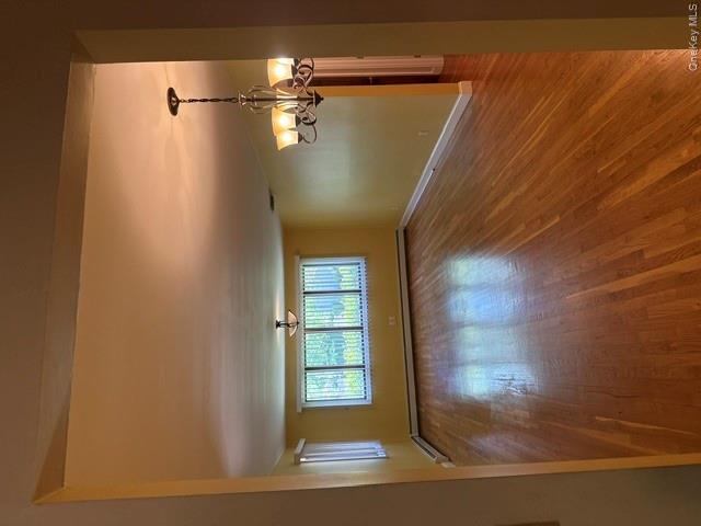 11 Darien Place Property Photo 6