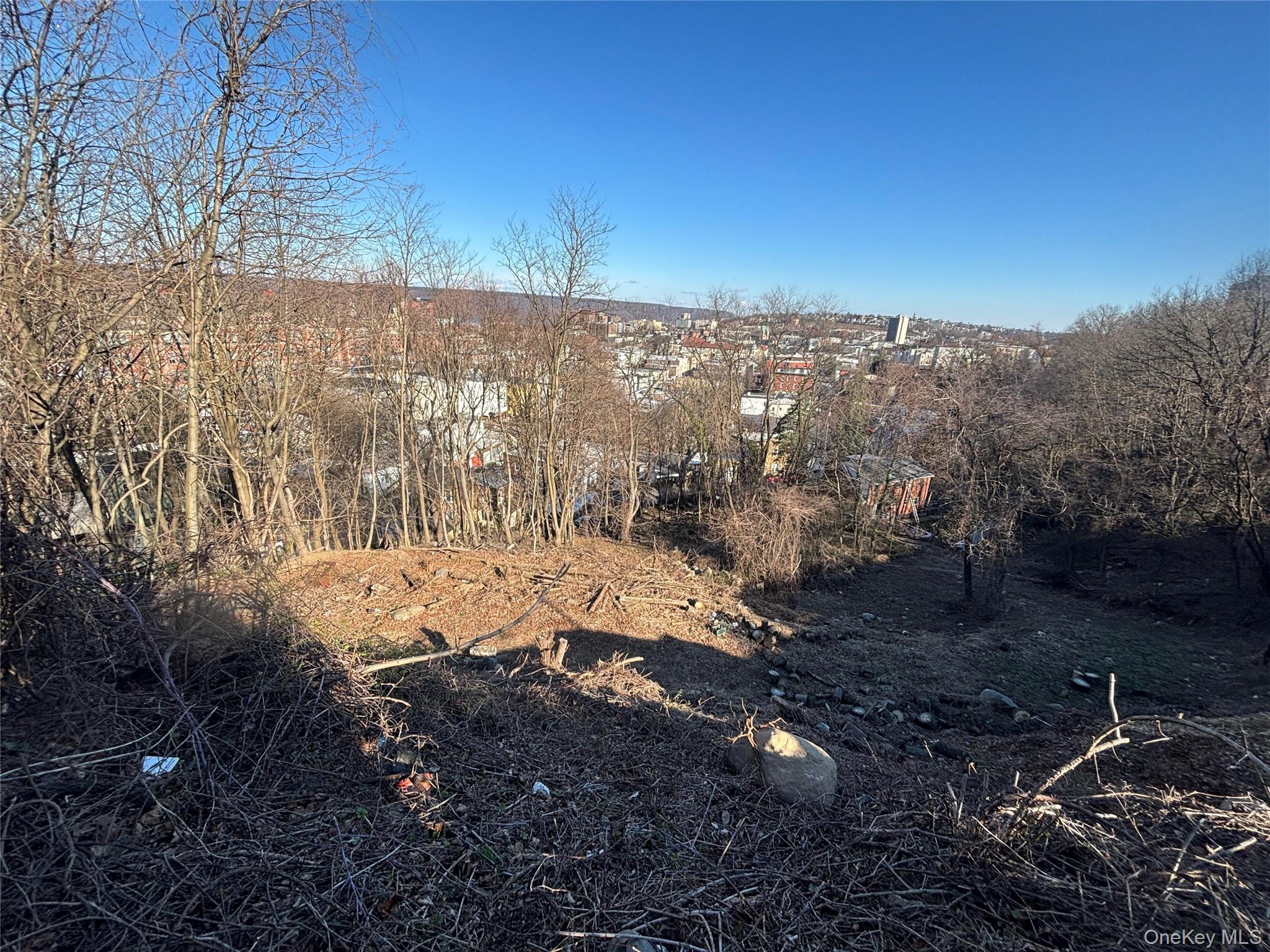 223 Glenbrook Avenue Property Photo 4