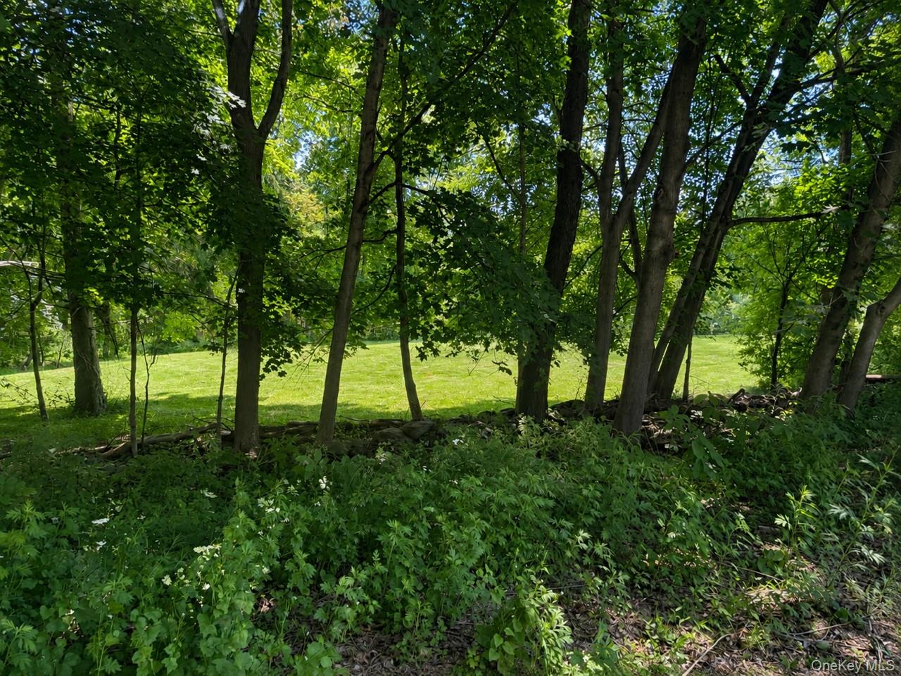 Route 55 Property Photo 2