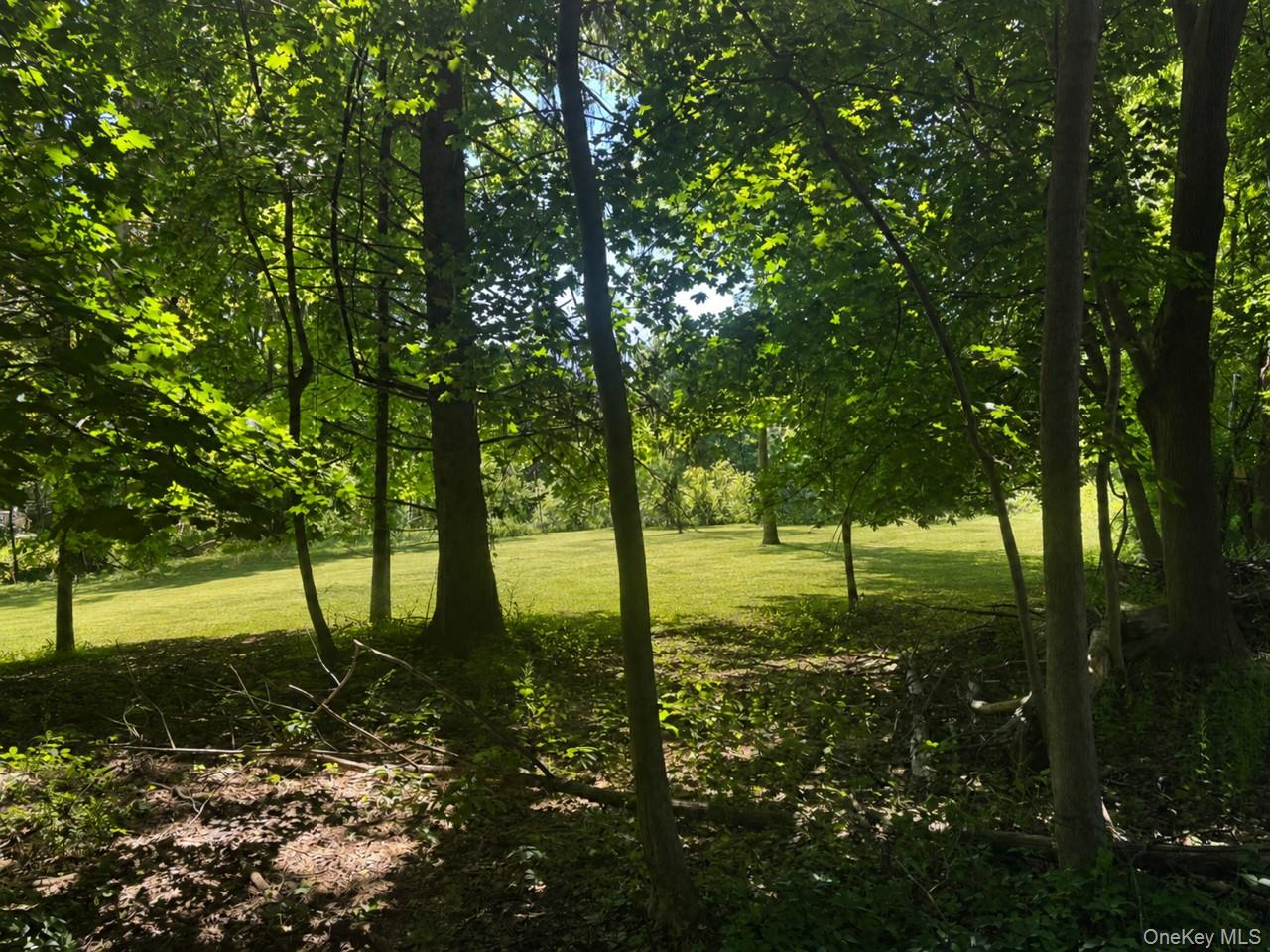Route 55 Property Photo 3
