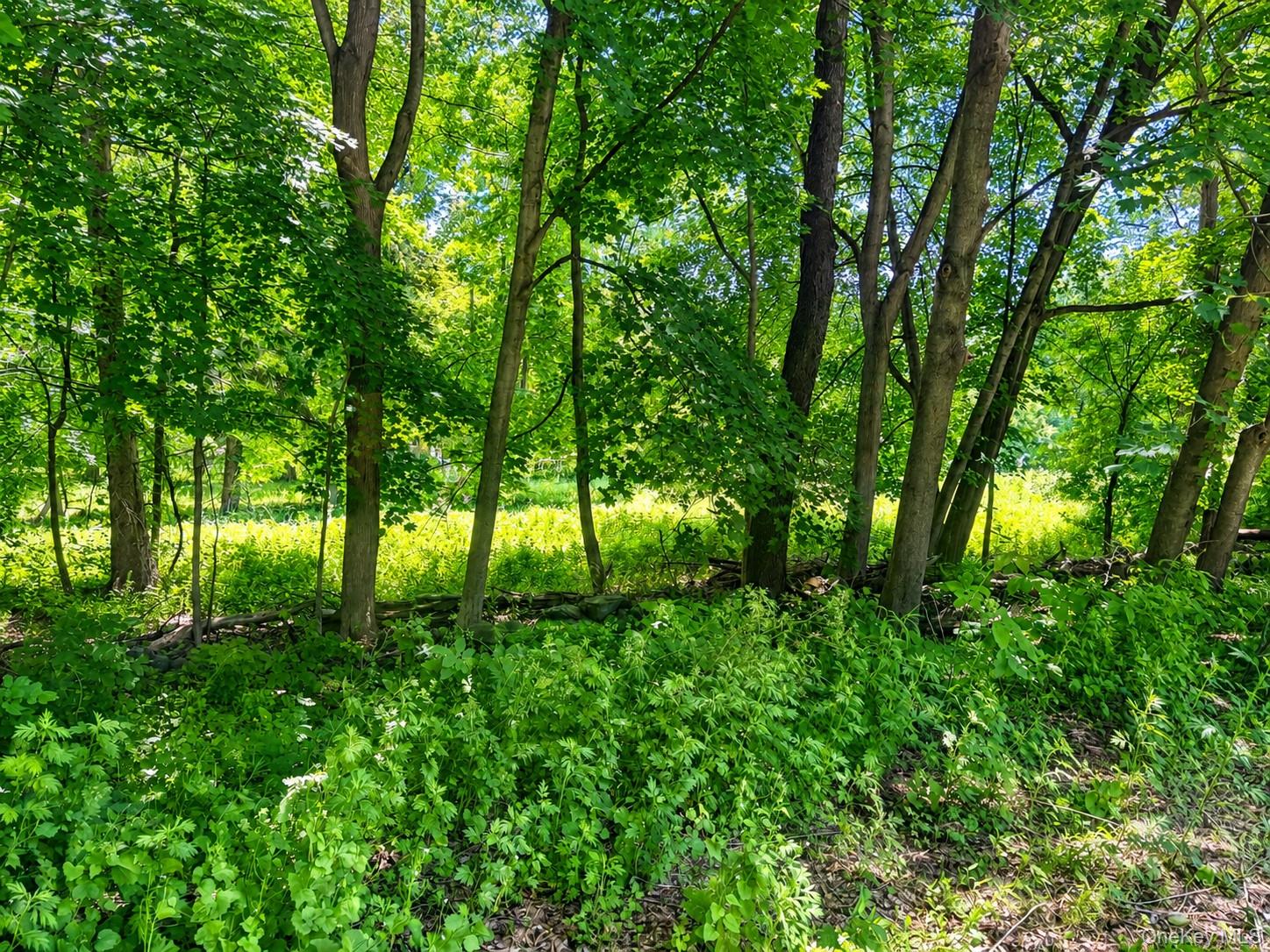 Route 55 Property Photo 6