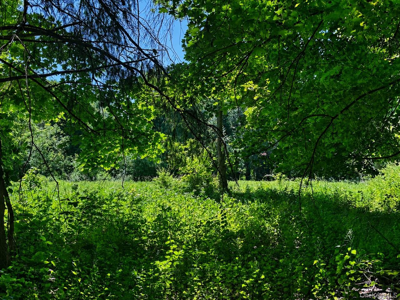 Route 55 Property Photo 9
