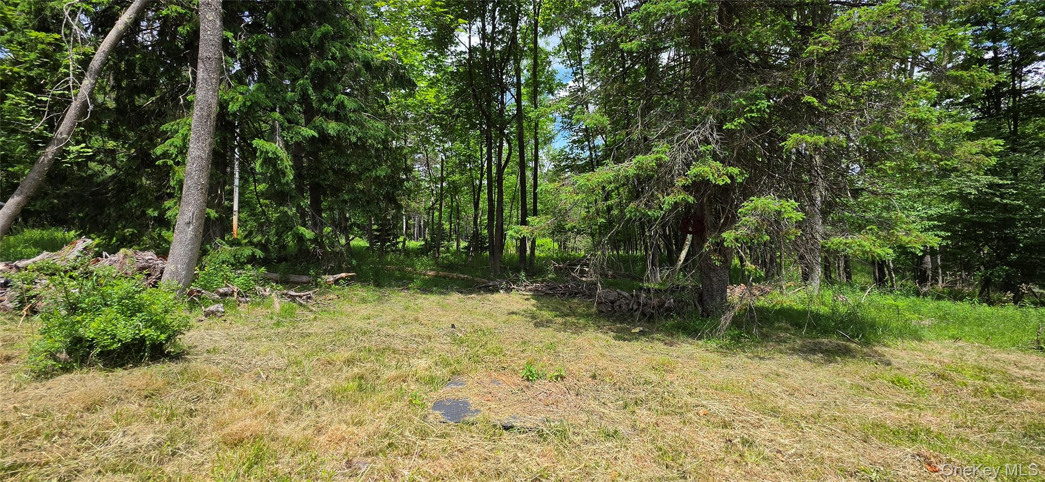 208 Parksville Road Property Photo 2