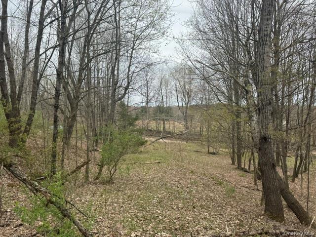 Lot 4 Shaver Hill Road Property Photo 3