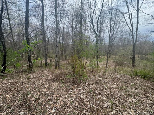 Lot 4 Shaver Hill Road Property Photo 5