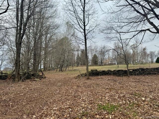 Lot 4 Shaver Hill Road Property Photo 6