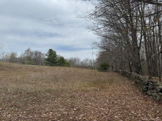 Lot 4 Shaver Hill Road Property Photo 7