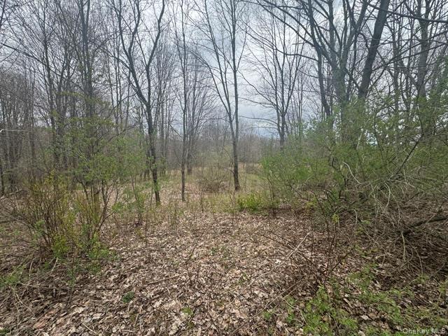 Lot 4 Shaver Hill Road Property Photo 8