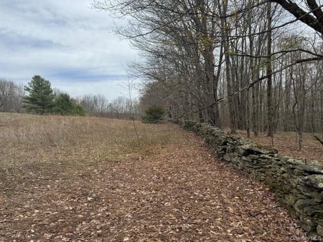 Lot 4 Shaver Hill Road Property Photo 9