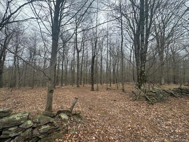 Lot 4 Shaver Hill Road Property Photo 10