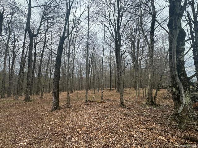 Lot 4 Shaver Hill Road Property Photo 11